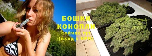 эйфоретик Кукмор