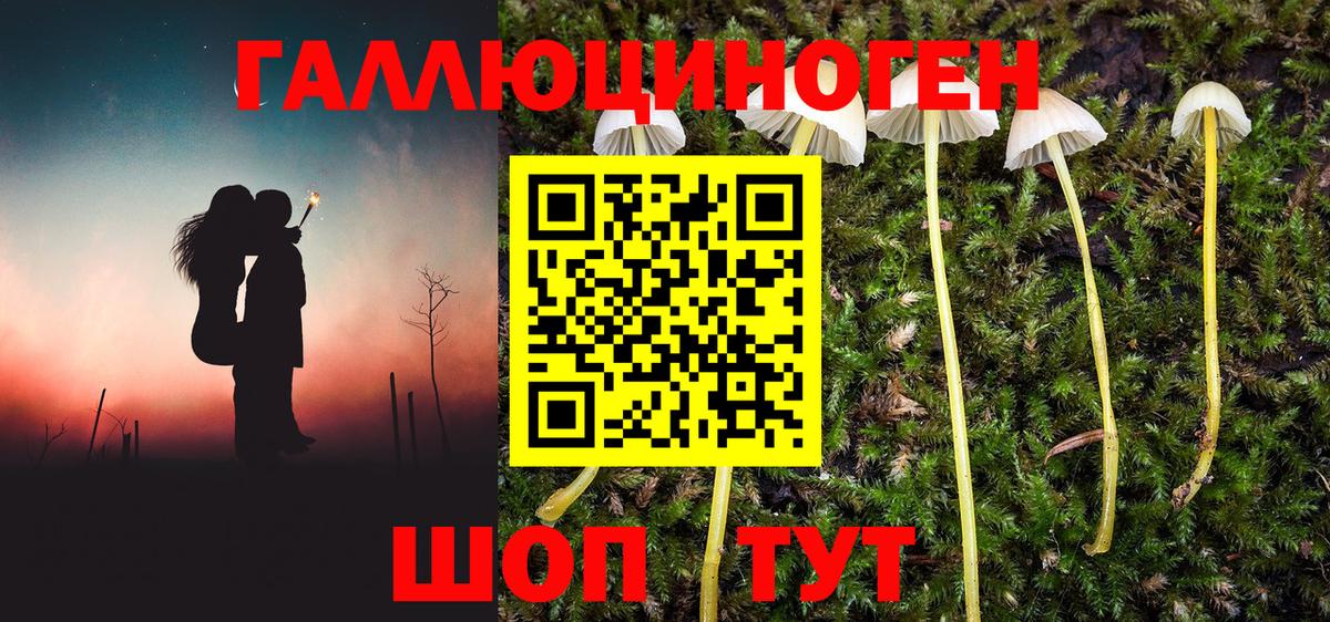 Псилоцибиновые грибы MAGIC MUSHROOMS Брянск