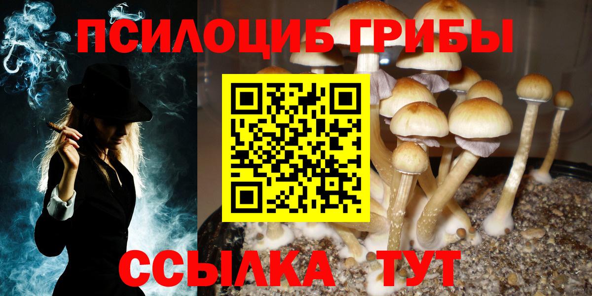Брянск  Галлюциногенные грибы Magic Shrooms  Вход с VPN  Галлюциногенные грибы MAGIC MUSHROOMS 