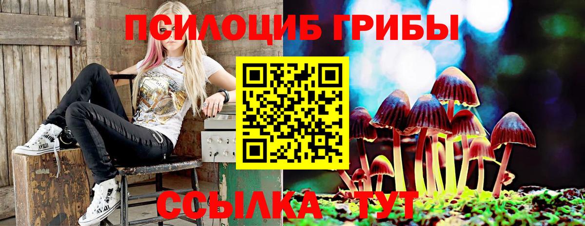 Галлюциногенные грибы мухоморы  Брянск 